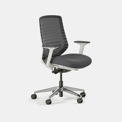 Branch Ergonomic Chair